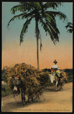 Image de la Guadeloupe