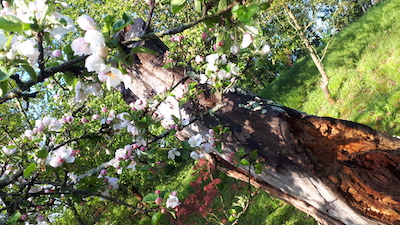 Le Jardin aux Crouteaux